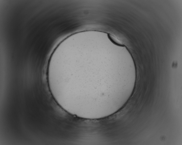 X0000102830912200809081152