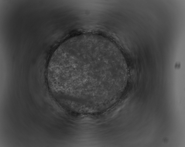 X0000102830913200809081151