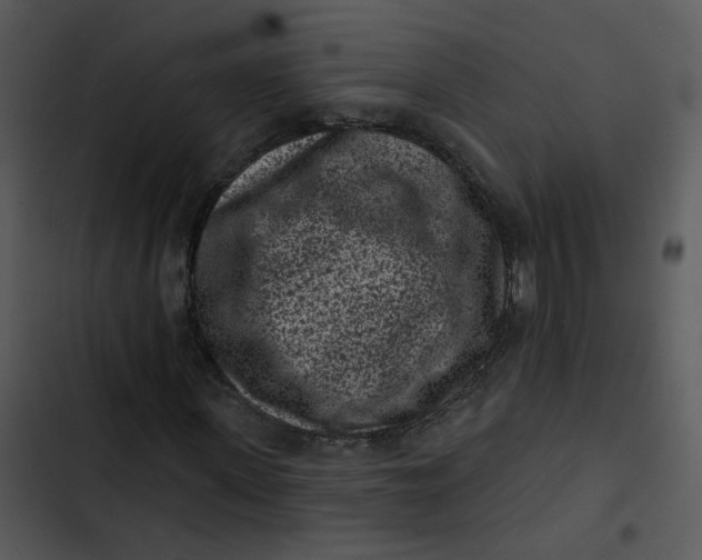 X0000102830915200809081151