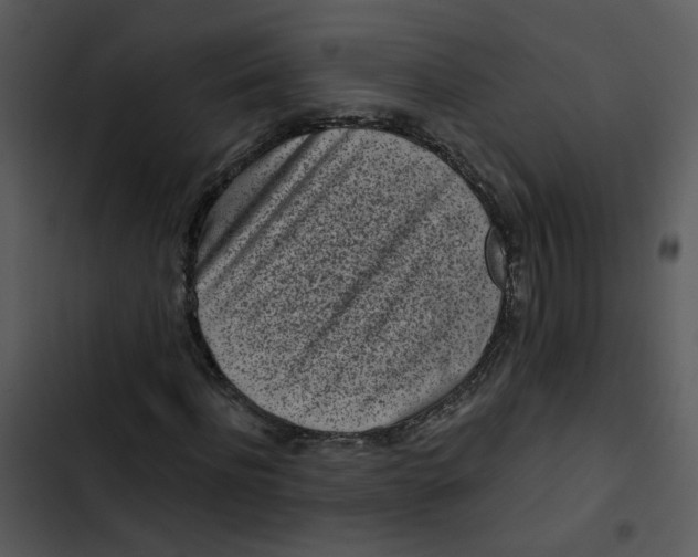 X0000102830916200809081151