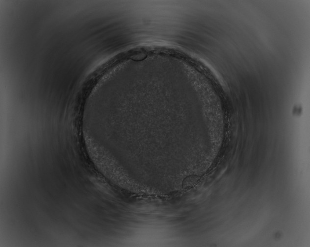 X0000102830919200809081151