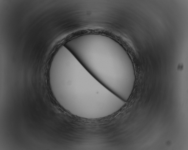 X0000102830920200809081151