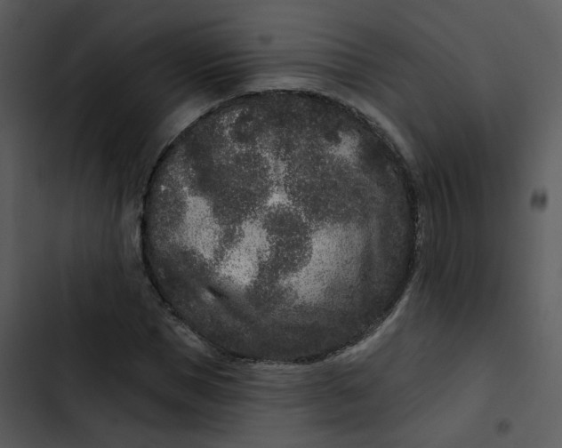 X0000102830921200809081151