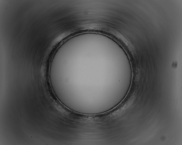 X0000102830922200809081151