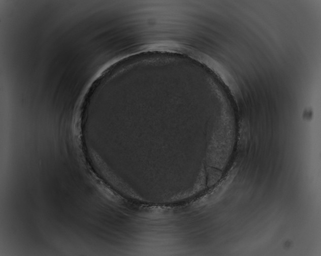 X0000102830923200809081151