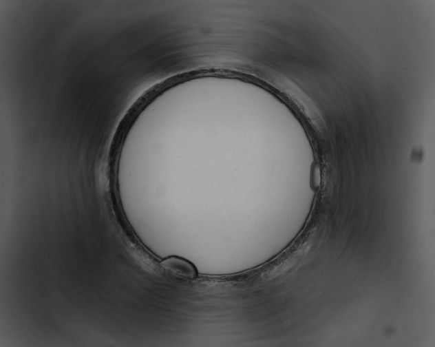 X0000102830924200809081151