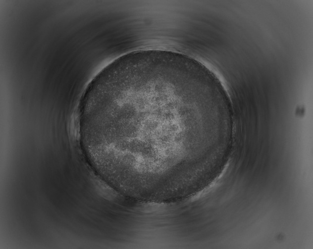 X0000102830925200809081151