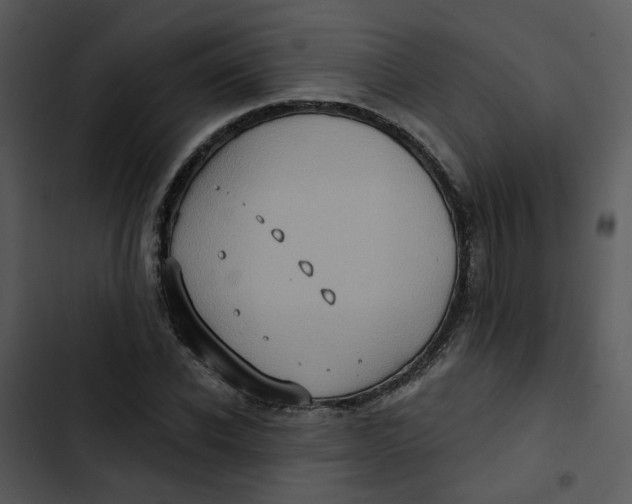 X0000102830926200809081151