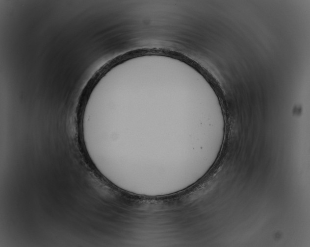 X0000102830927200809081151