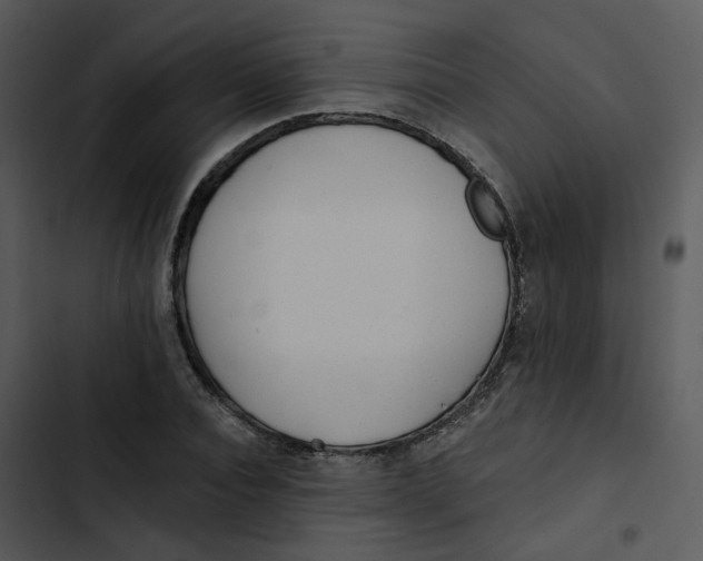 X0000102830928200809081151