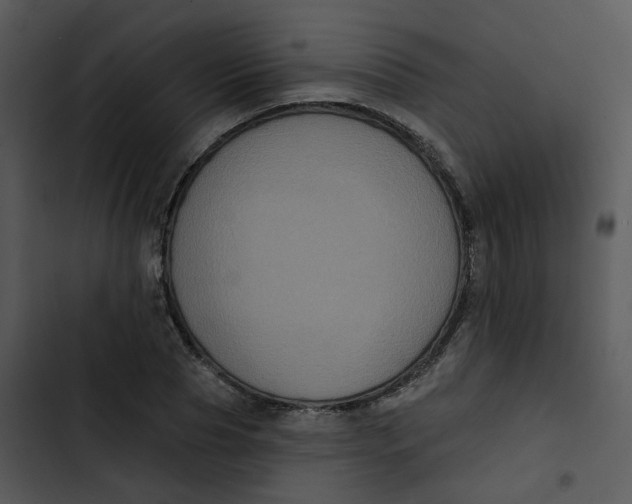 X0000102830929200809081151