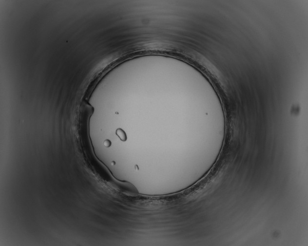 X0000102830930200809081151