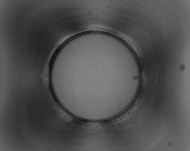 X0000102830931200809081151