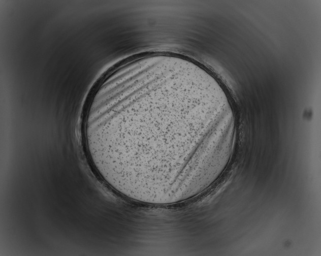 X0000102830932200809081151