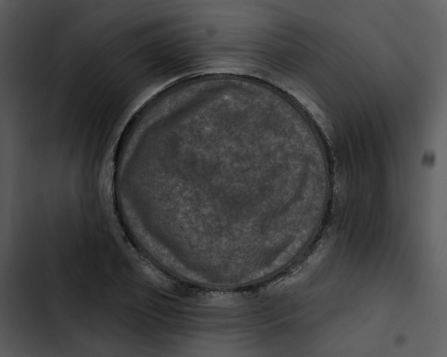 X0000102830933200809081151