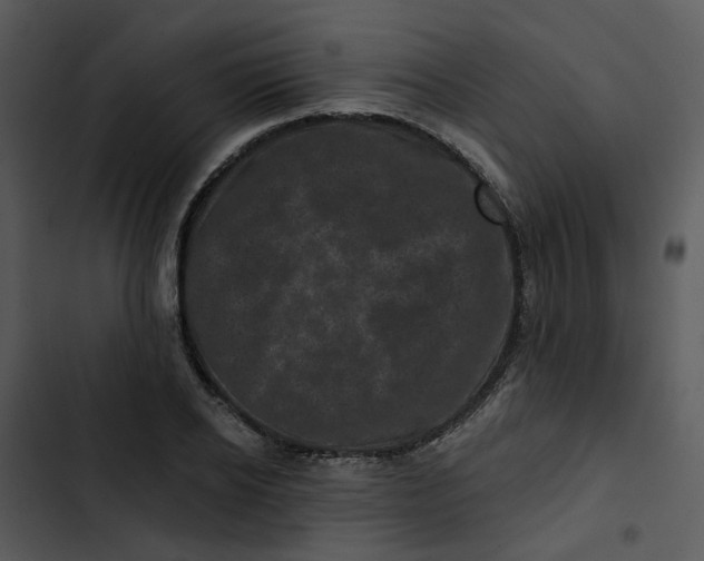 X0000102830934200809081151