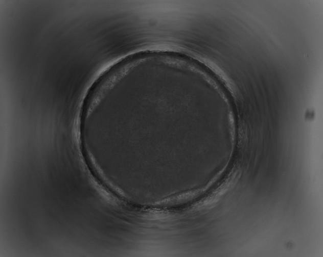 X0000102830935200809081152