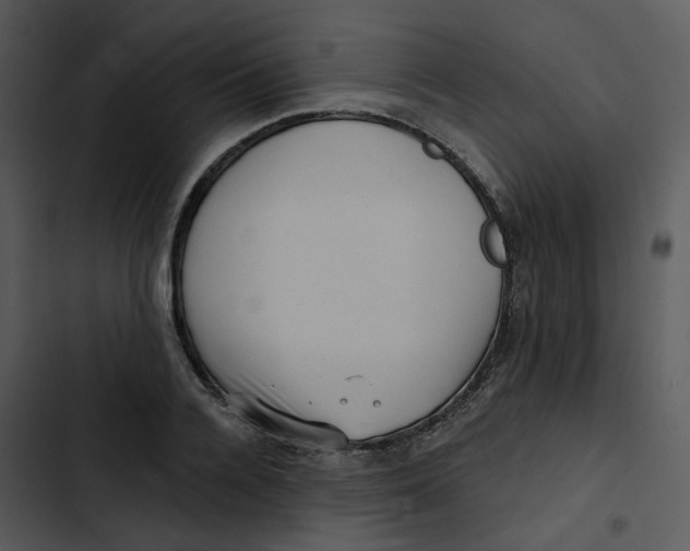 X0000102830936200809081152