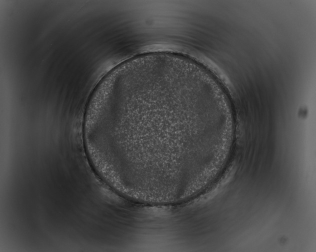 X0000102830937200809081152