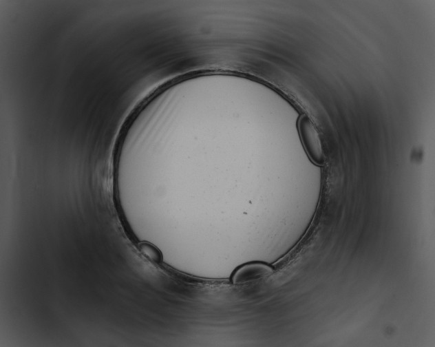 X0000102830940200809081152