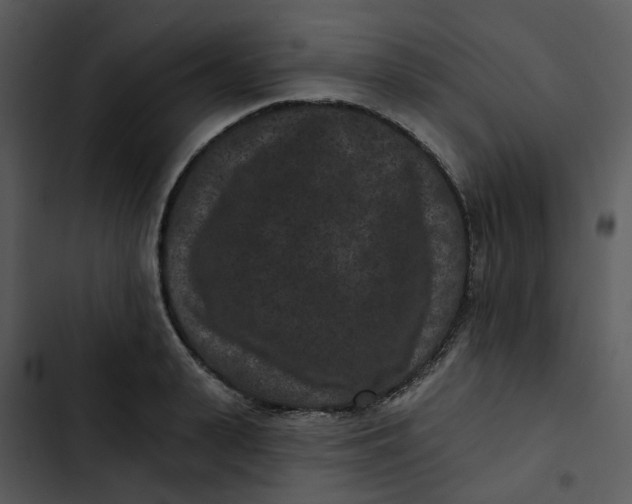 X0000102830943200809081152