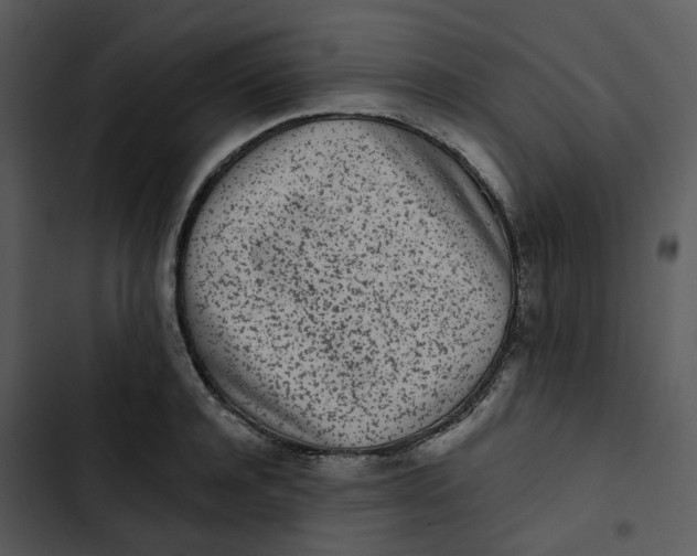 X0000102830944200809081152