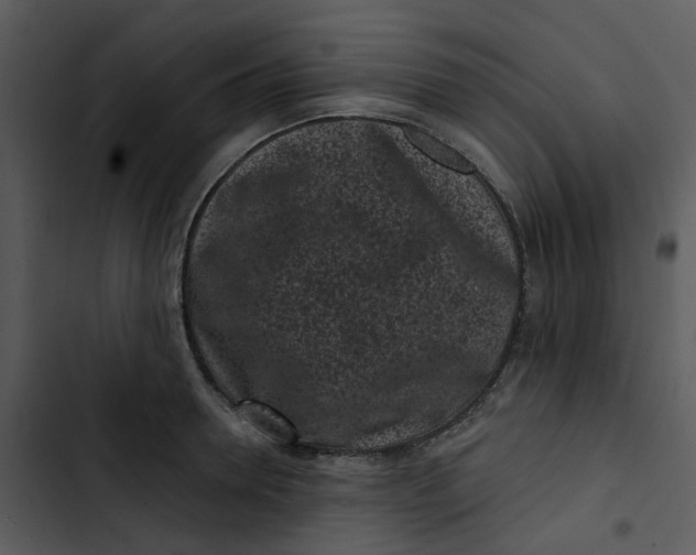 X0000102830946200809081152