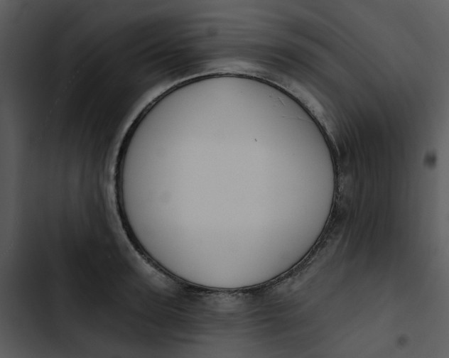 X0000102830947200809081152