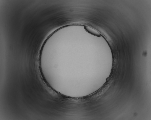 X0000102830948200809081152