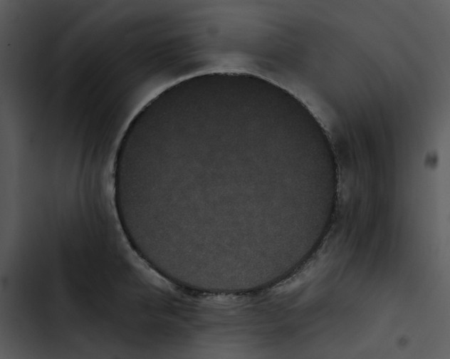 X0000102830950200809081152