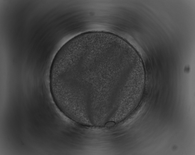 X0000102830951200809081152