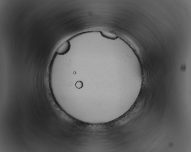 X0000102830952200809081152