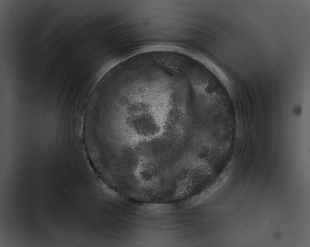 X0000102830953200809081152