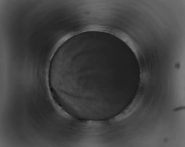 X0000102830954200809081152