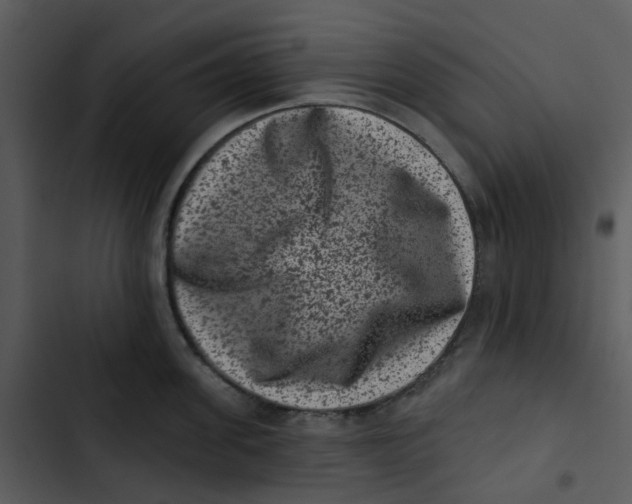 X0000102830955200809081152