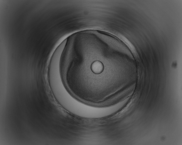 X0000102830956200809081152