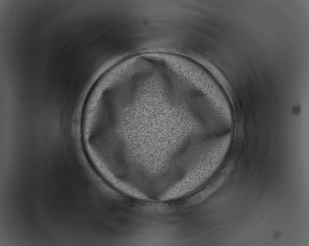 X0000102830957200809081152