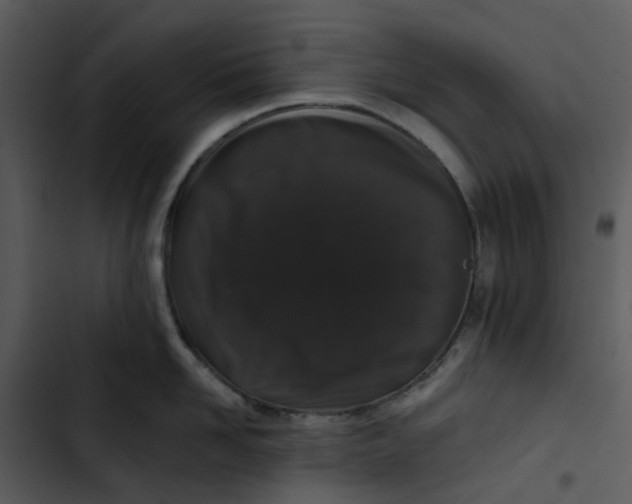 X0000102830958200809081152