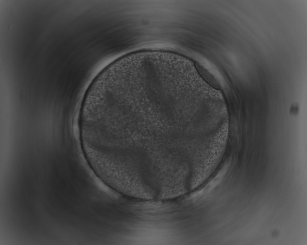 X0000102830959200809081152