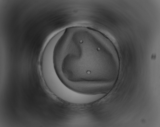 X0000102830960200809081152