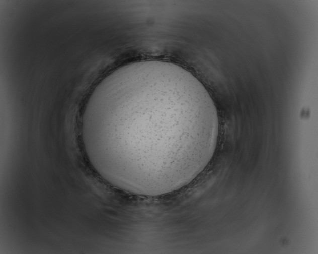 X0000102830961200809081151