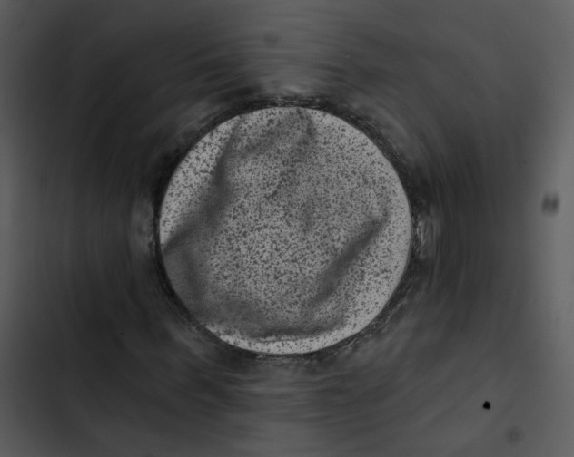 X0000102830963200809081151