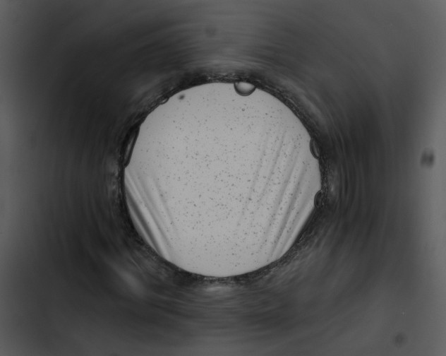 X0000102830964200809081151