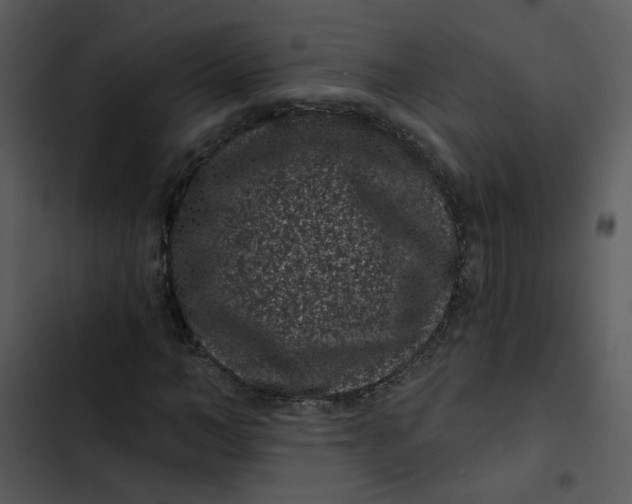 X0000102830966200809081151