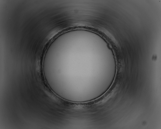 X0000102830969200809081151