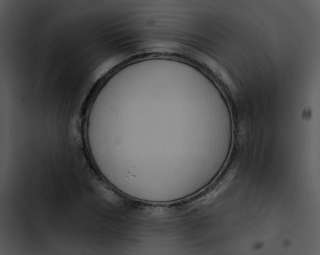 X0000102830970200809081151