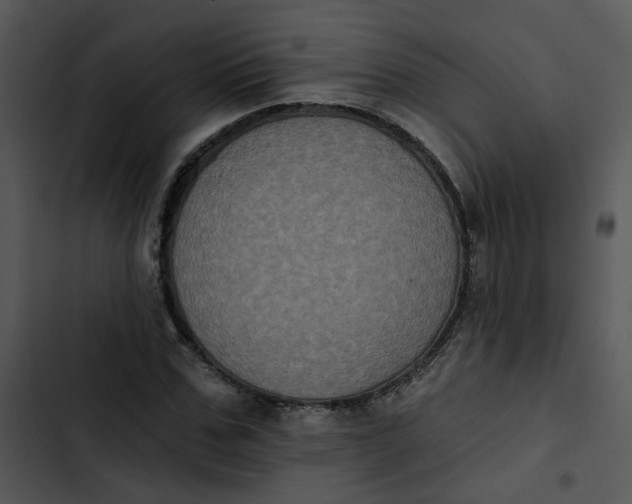 X0000102830971200809081151