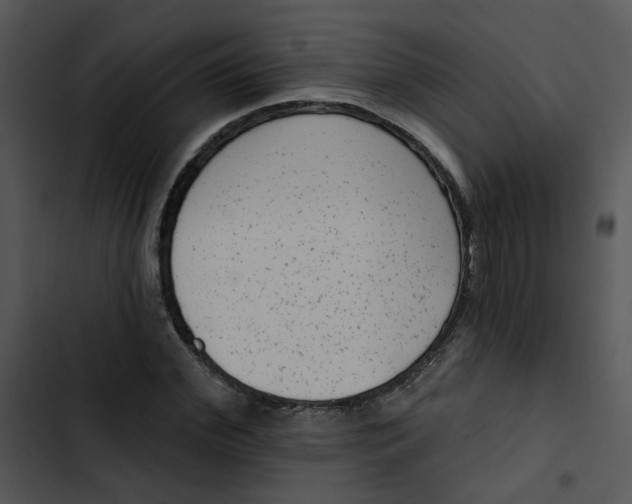 X0000102830972200809081151