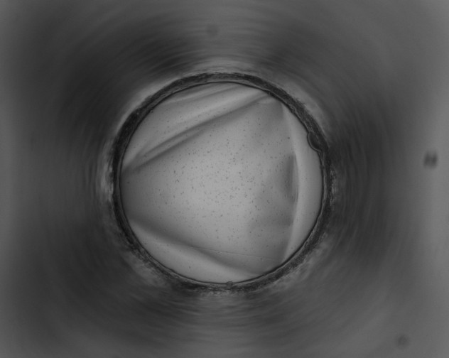 X0000102830973200809081151