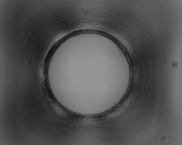 X0000102830974200809081151